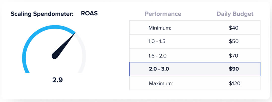 Madgicx Autonomous Budget Optimizer