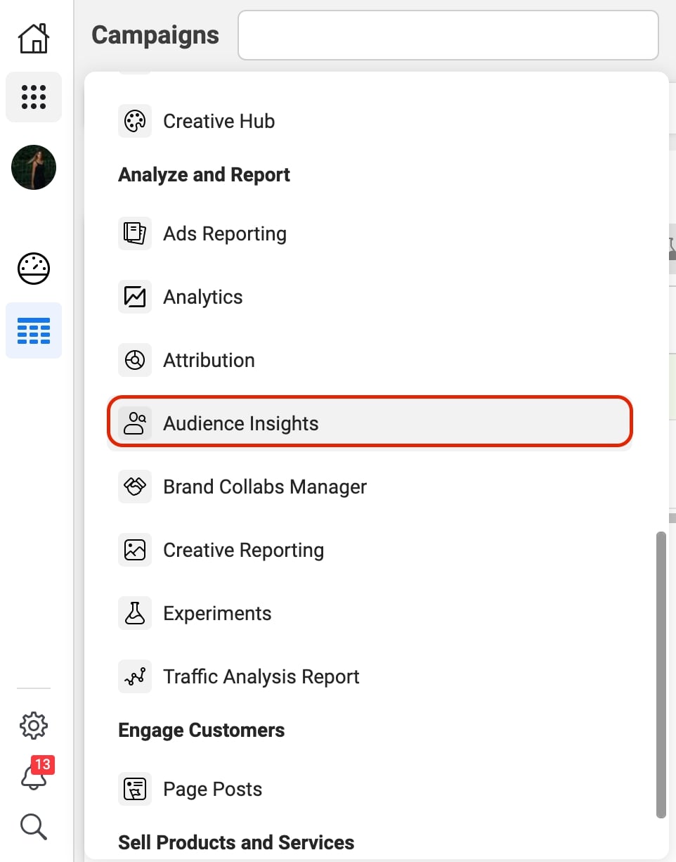 Go to Facebook audience insights