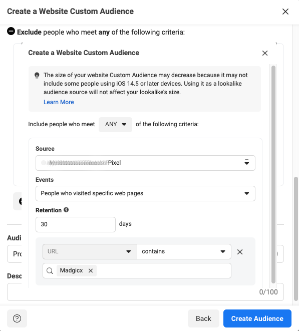 creating a Facebook website custom audience; adding business name to the URL field