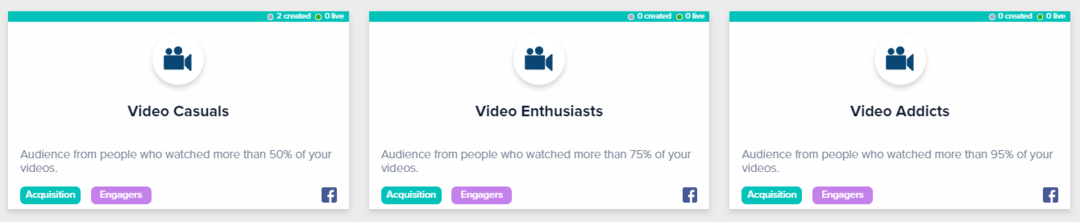 Video-View Metrics Based Facebook Audiences