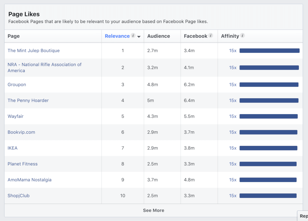 Facebook Audience Insights - Page Likes