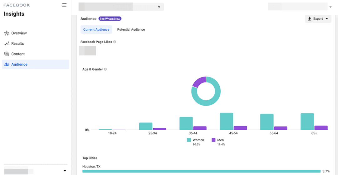 Current audience - Facebook Audience Insights