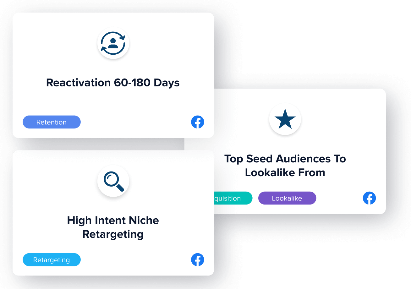 Madgicx audience launcher
