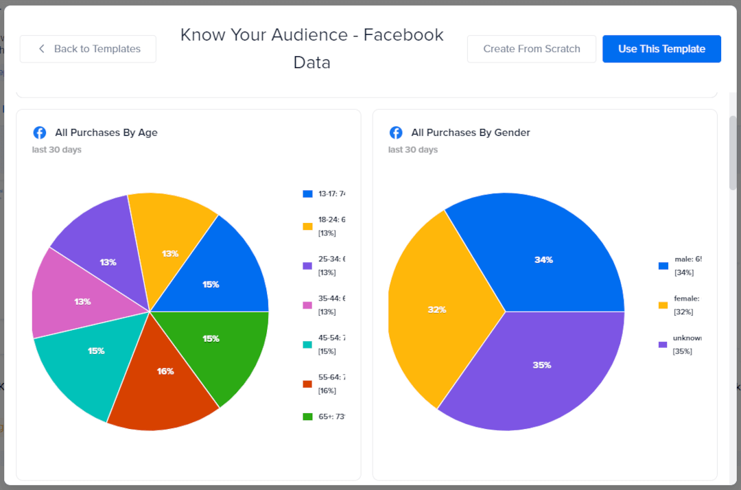 Know your audience - Digital Marketing Dashboard Example