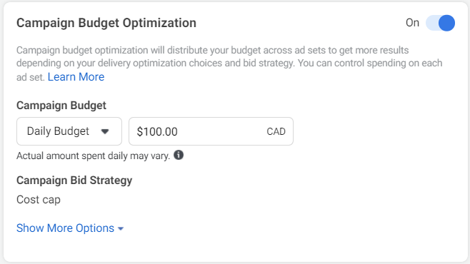 Meta Ads Manager - Campaign Optimization