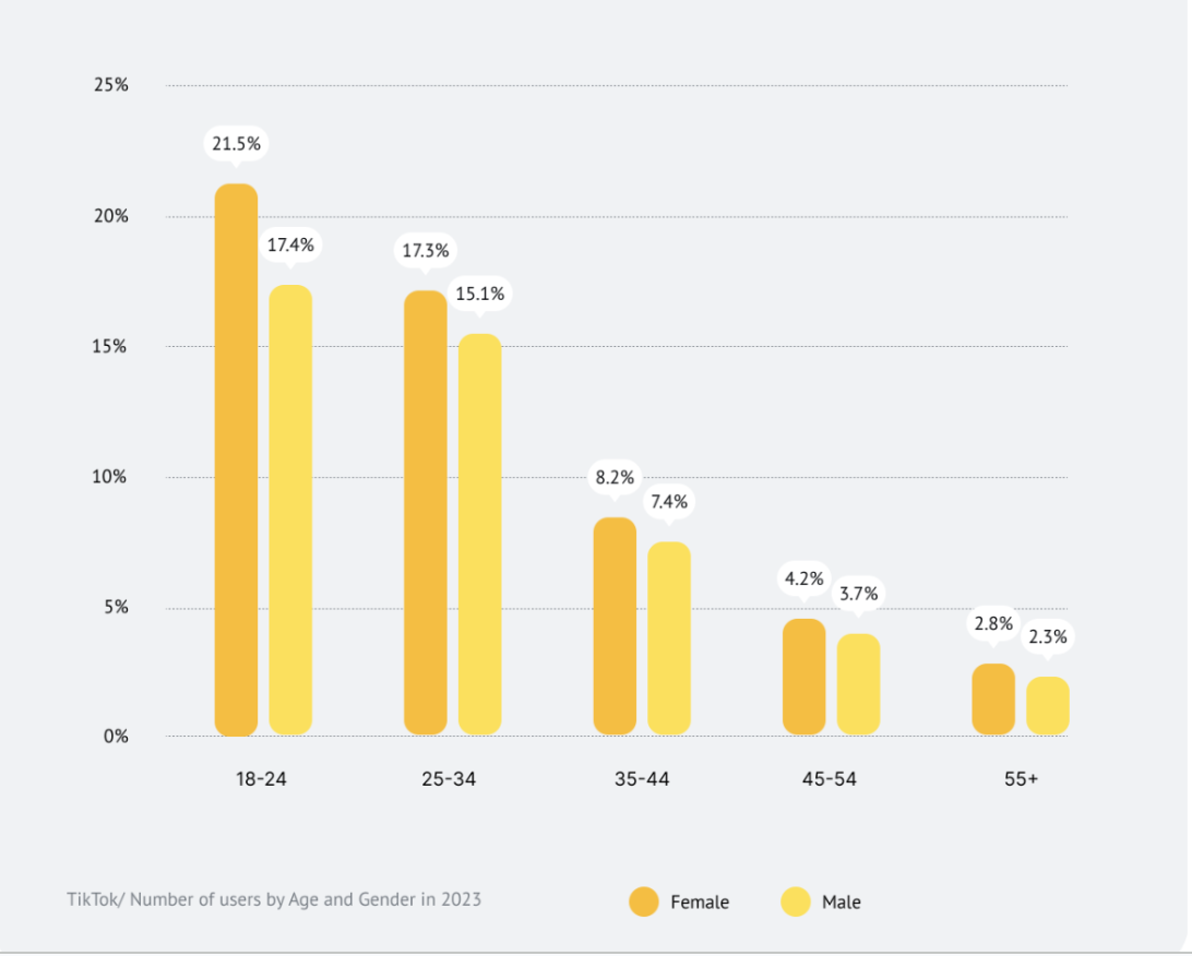 TikTok user base age and gender.