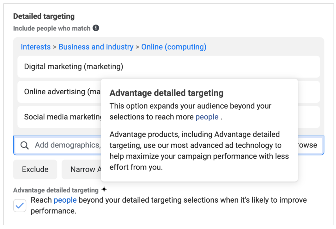 Meta Advantage detailed targeting