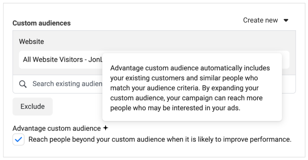 Advantage custom audience